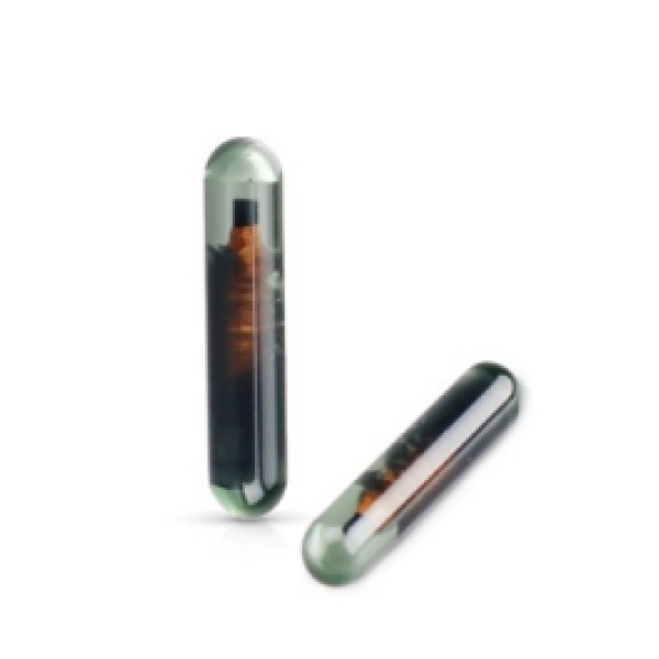 (Original) ID13 Chip Glass Blank