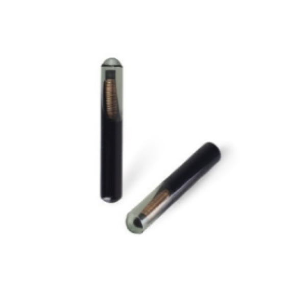 (Original) 4D60 Chip Glass Blank