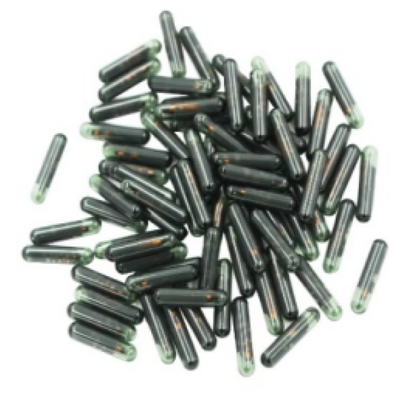 (Original) ID8E Chip Glass Blank