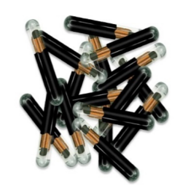 (Original) T5 Chip Glass Blank