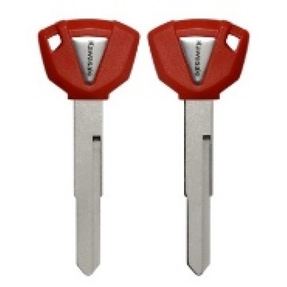 Kawasaki Moto key shell